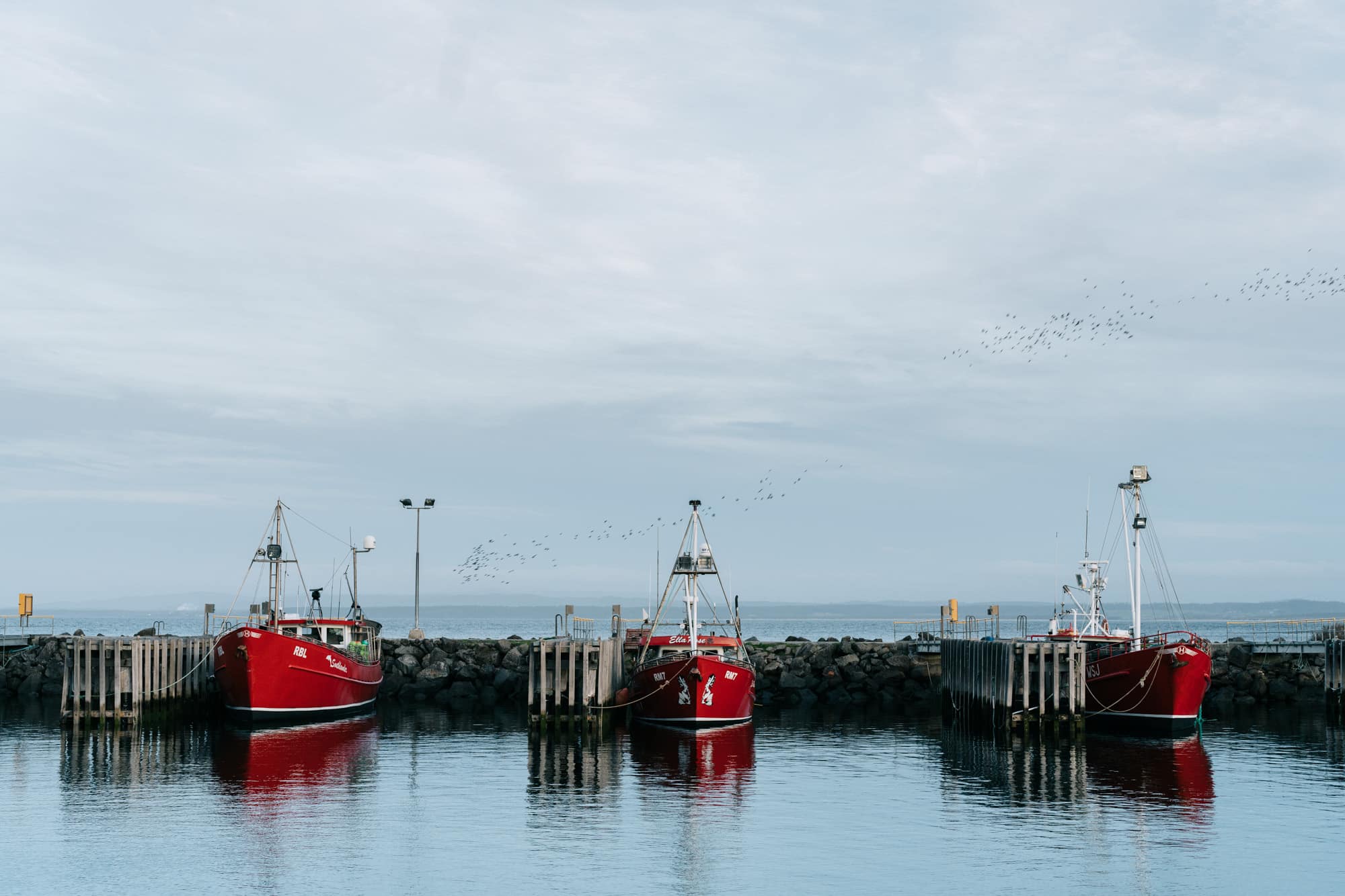 Ship Inn Stanley - Fishing fleet